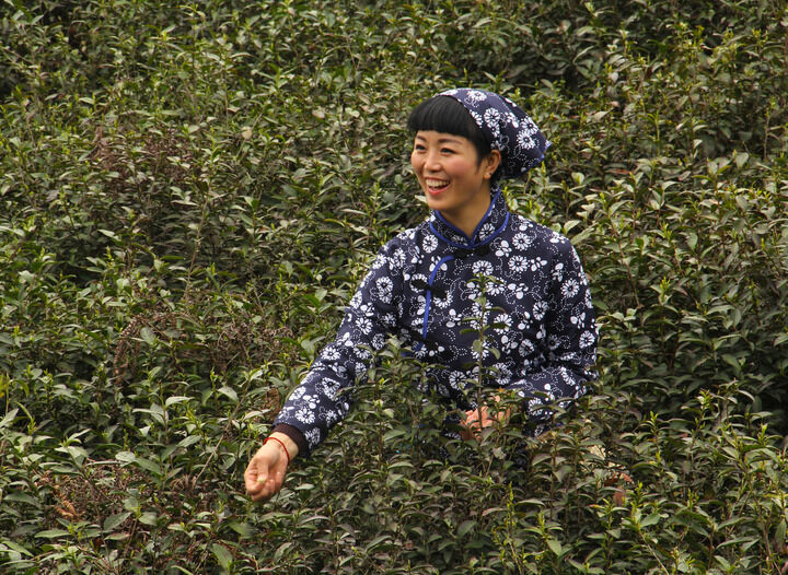 百丽推荐1